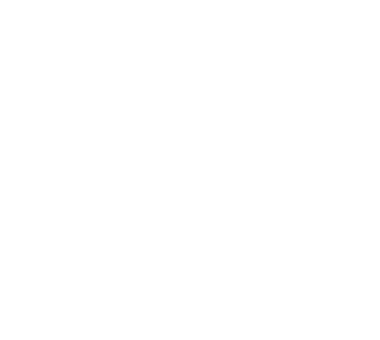 NYAMVISI logo